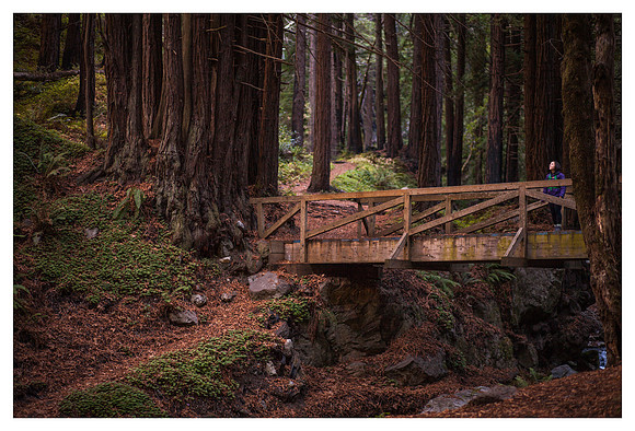 Jess on the Bridge, Redwoods, Limekiln State Park, CA
