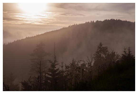 Mist, Ridge, Great Smoky Mountains National Park, NC