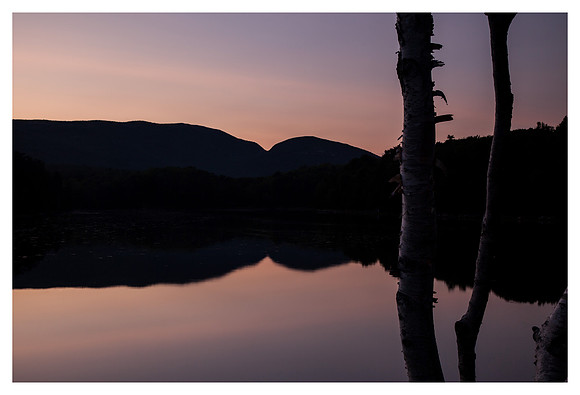 Birch, Ridge, Sunset, Acadia National Park, ME