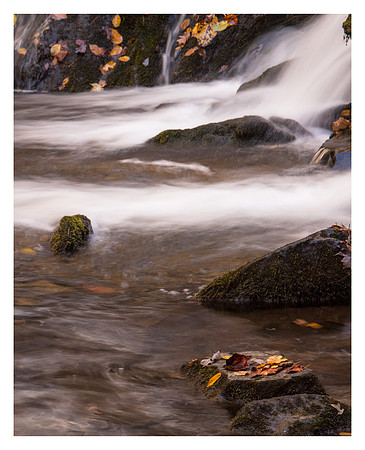 Leaves, Indian Creek Falls, Autumn, Great Smoky Mountains National Park, NC