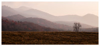 Fall Color, Ridges, near Franklin, NC