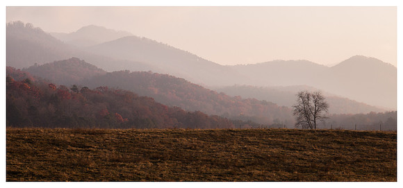 Fall Color, Ridges, near Franklin, NC