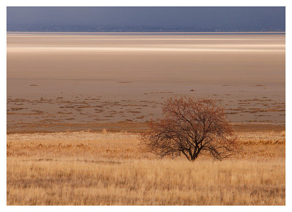 Light Over the Great Salt Lake, Antelope Island State Park, UT
