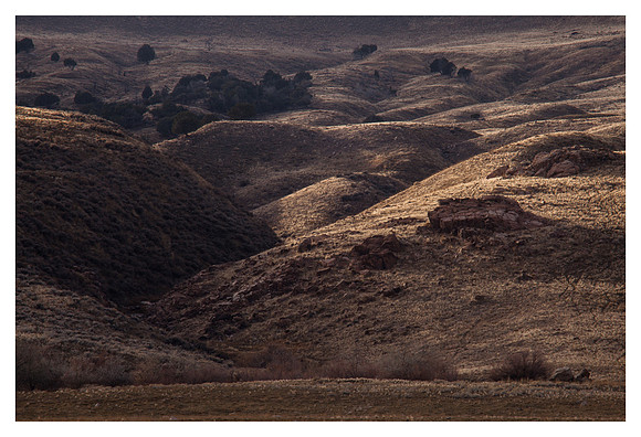 Ravine, Antelope Island State Park, UT