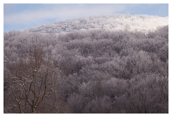 Frost, Rich Mountain, NC