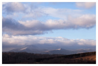 Soft Light, Elk Knob, Watauga County, NC