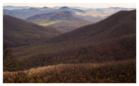 Looking Glass Rock, Spring, Pisgah National Forest, NC