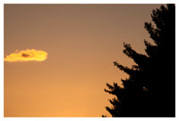 Cloud, Tree Silhouette, Blue Ridge Parkway, NC