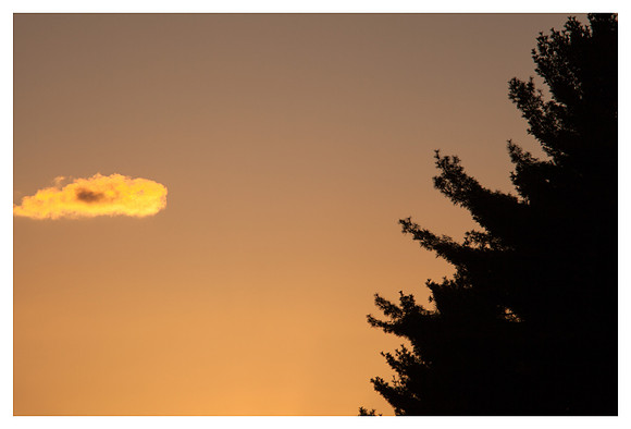 Cloud, Tree Silhouette, Blue Ridge Parkway, NC