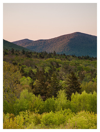 Fresh Foliage, Spring Sunset, Green Mountain National Forest, VT