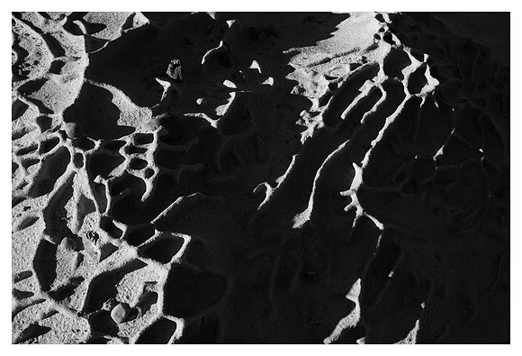 Weathered Rock Detail, Point Lobos State Natural Reserve, CA