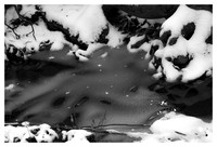 Frozen Creek, Winter, William B. Umstead State Park, NC