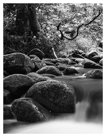 Mossy Rocks, Creek, Great Smoky Mountains National Park, TN