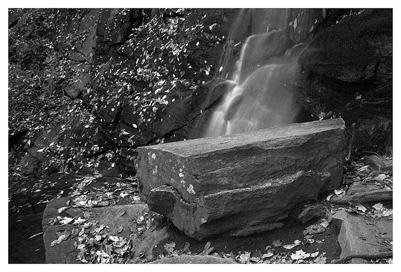 Boulder, Leaves, Juney Whank Falls, Great Smoky Mountains National Park, NC