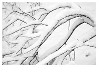 Heavy Branch, Snow, Big Ivy Area, Pisgah National Forest, NC