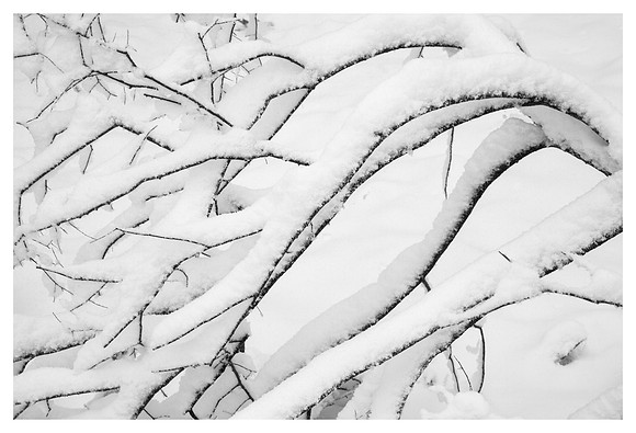Heavy Branch, Snow, Big Ivy Area, Pisgah National Forest, NC