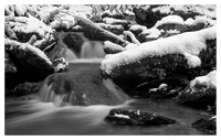 Snow Cover, Cascade, Big Ivy Area, Pisgah National Forest, NC