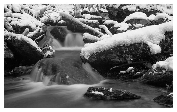 Snow Cover, Cascade, Big Ivy Area, Pisgah National Forest, NC