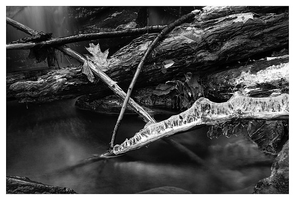 Icy Branch, Pool, Catawba Falls, Pisgah National Forest, NC