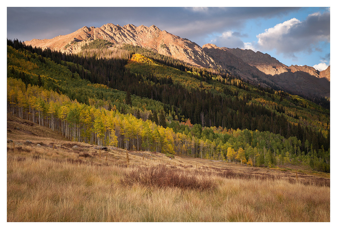 Meadow, Fall Color, Eagles Nest Wilderness, White River National Forest, CO