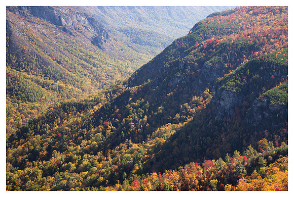 Afternoon Shadows, Fall Color, Linville Gorge Wilderness Area, Pisgah National Forest, NC