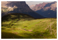 Meadow, Going to the Sun Mountain, Logan's Pass, Glacier National Park, MT