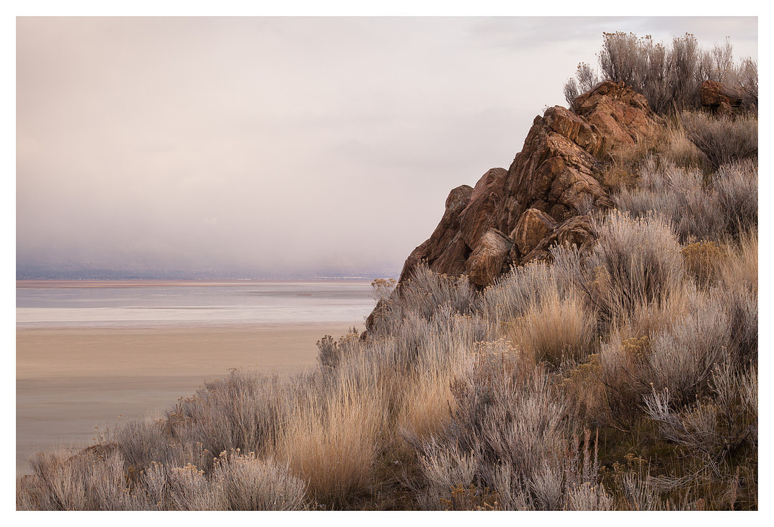 Rock Face, Brush, Great Salt Lake, Antelope Island State Park, UT