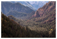 Oak Creek Canyon, Late Afternoon, Coconino National Forest, AZ