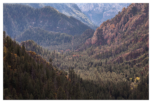 Oak Creek Canyon, Late Afternoon, Coconino National Forest, AZ