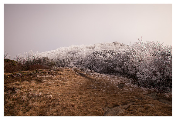 Rime Ice, Craggy Pinnacle, Blue Ridge Parkway, NC