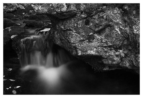 Rock Detail, Cascade, Graveyard Fields, Blue Ridge Parkway, NC