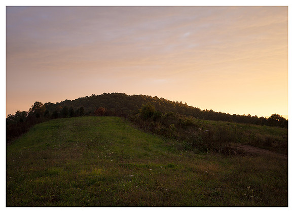 Wildflowers, Hill, Sunset, Ashe County, NC