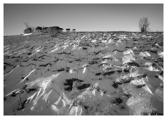 Windswept Snowy Bald, Roan Mountain, Pisgah/Cherokee National Forest, NC/TN