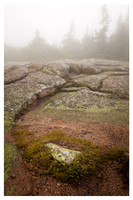 Granite, Mist, Cadillac Mountain, Acadia National Park, ME