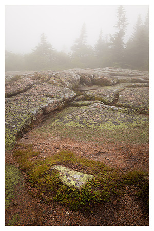 Granite, Mist, Cadillac Mountain, Acadia National Park, ME
