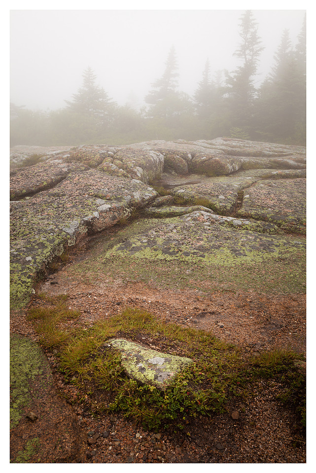 Granite, Mist, Cadillac Mountain, Acadia National Park, ME
