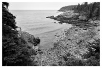 Coast, Acadia National Park, ME