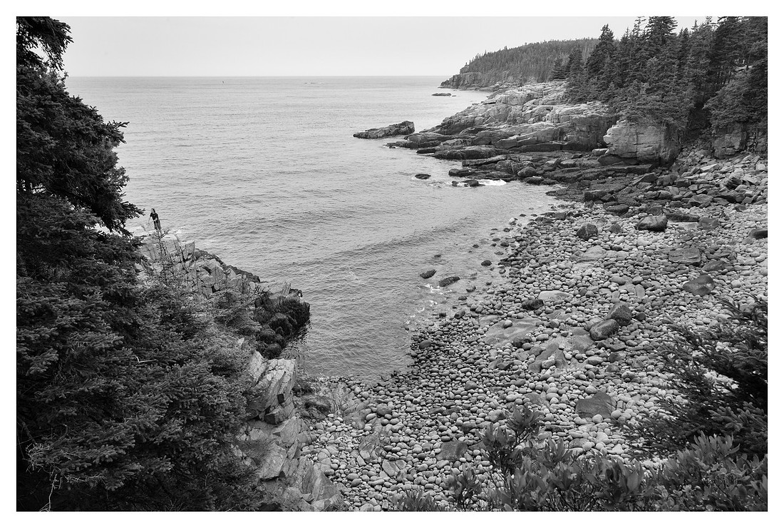 Coast, Acadia National Park, ME