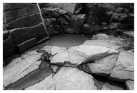 Rock, Puddle, Acadia National Park, ME