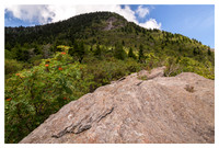 Potato Knob, Afternoon, Blue Ridge Parkway, NC