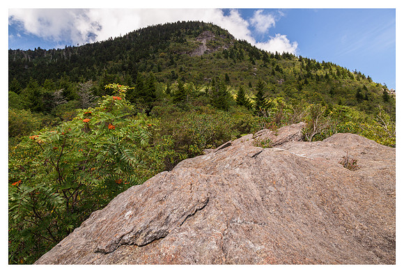 Potato Knob, Afternoon, Blue Ridge Parkway, NC