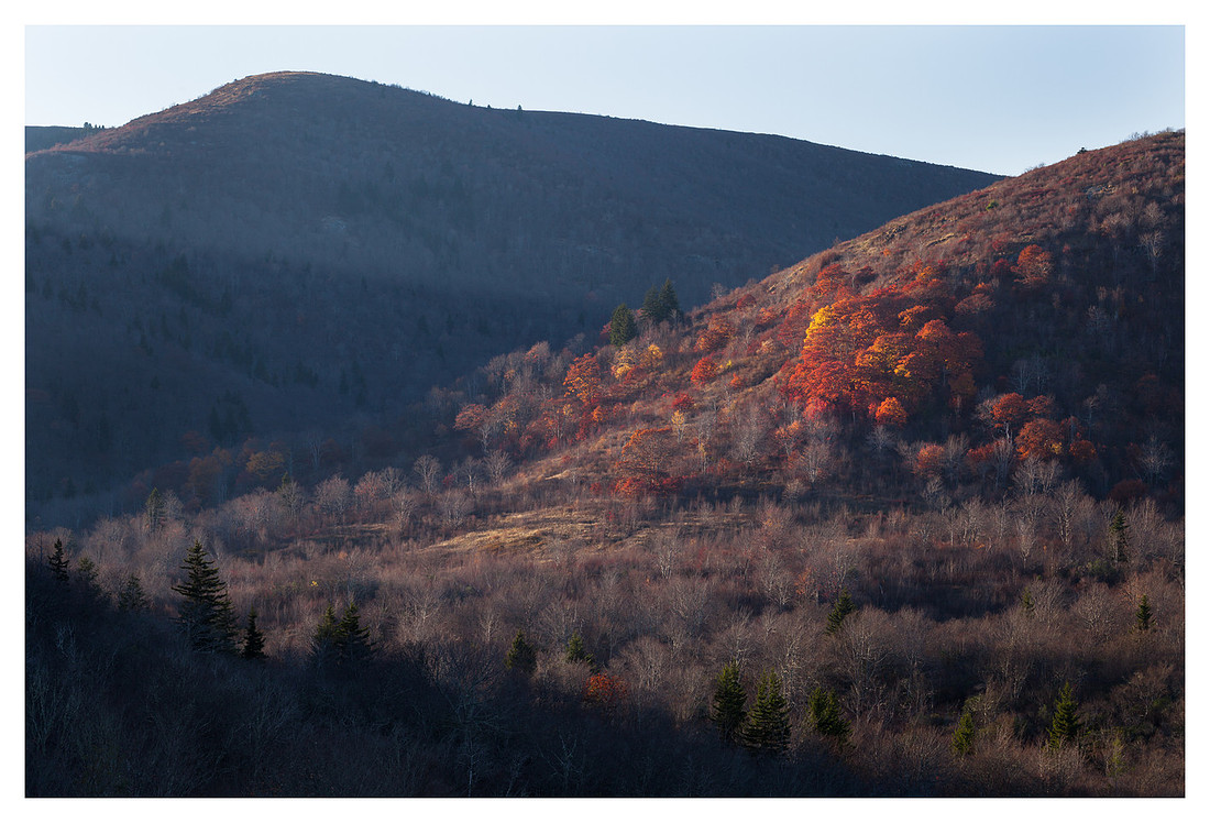Fall Color Cluster, Evening, Graveyard Fields, Blue Ridge Parkway, NC