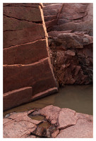 Rock, Puddle, Acadia National Park, ME