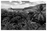 Foliage, Marigot Bay, St. Lucia
