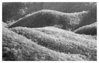 Ridges, Afternoon Light, Fall, Blue Ridge Parkway, NC