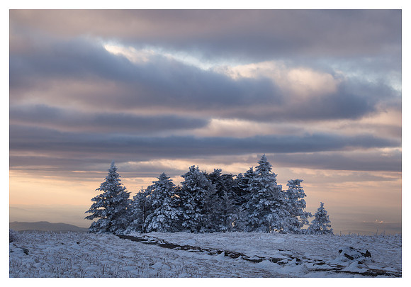 Conifers, Clouds, Sunset, Round Bald, Roan Mountain, Pisgah/Cherokee National Forest, NC/TN