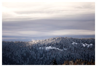 Snow Squall, Evening Light, From Little Sam Knob, Pisgah National Forest, NC