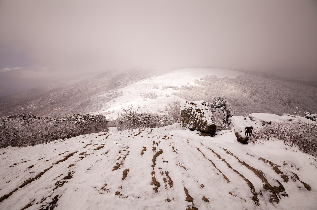 Snow Cloud, Afternoon Light, From Jane Bald, Roan Mountain, Pisgah/Cherokee National Forest, NC/TN