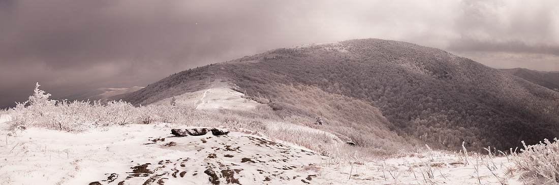 Grassy Ridge Bald, Afternoon, Roan Mountain, NC
