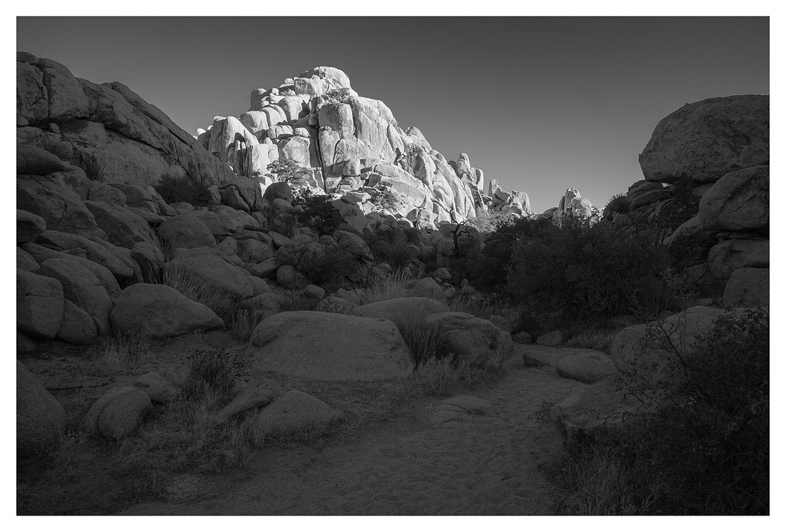 Evening Light, Hidden Valley, Joshua Tree National Park, CA